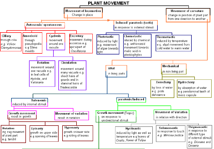 NEET Biology Plant Growth And Movement Chapter Notes 4.PNG